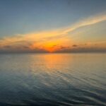 Private Swim With Pigs and Snorkeling in Paradise Tour - The Experience of a Private Tour