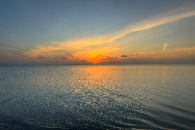 Private Swim With Pigs and Snorkeling in Paradise Tour - The Experience of a Private Tour