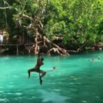 Private Swimming with Turtles/Sharks at Blue Lagoon and Waterfall - Authentic Insights from Reviews