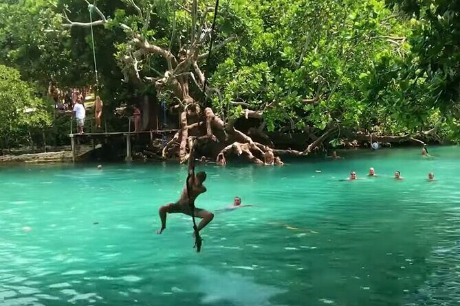 Private Swimming with Turtles/Sharks at Blue Lagoon and Waterfall - Authentic Insights from Reviews