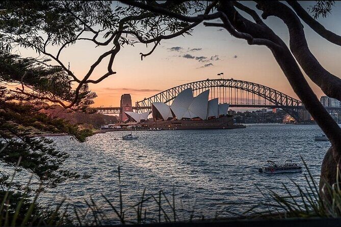 Private Sydney City Hidden Gem Half Day Tour - The Experience from a Traveler’s Perspective