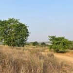 Private tiger watching in Panna National Park of Khajuraho - Detailed Itinerary Breakdown
