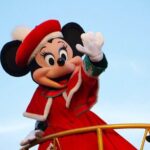 Private Tokyo Disneyland/DisneySea Tour with Car Transportation - What’s Included and What’s Not?