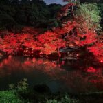 Private Tokyo Night Tour - Price and Value Analysis