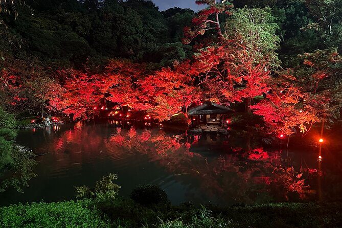 Private Tokyo Night Tour - Price and Value Analysis