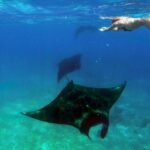 Private tour 4 days 3 nights Komodo on boat, waterfall and Rangko cave - The Itinerary Breakdown