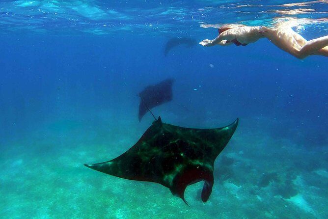 Private tour 4 days 3 nights Komodo on boat, waterfall and Rangko cave - The Itinerary Breakdown