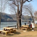 Private Tour at Nami Island and Elysian Ski Resort - Transportation and Practicalities