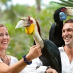 Private Tour Bali Bird Park And Ubud Tour - What Makes This Tour Stand Out?