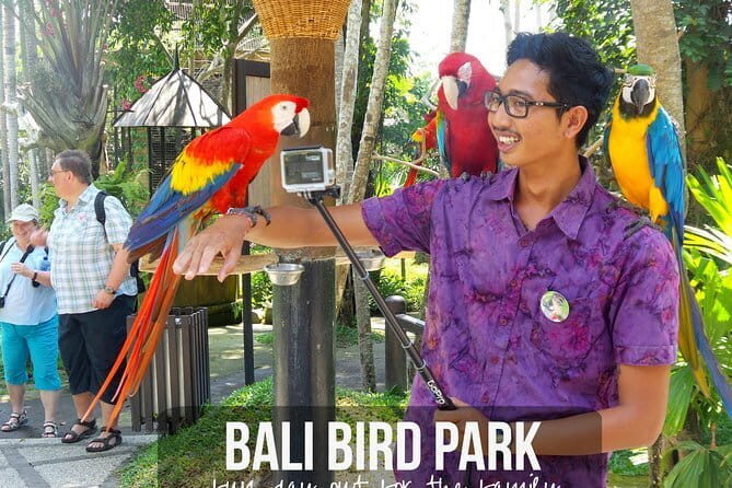 Private Tour Bali Bird Park And Ubud Tour - The Practicalities: What to Expect