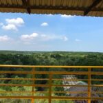 Private Tour Can Gio Mangrove Biosphere - Authentic Insights from Reviewers