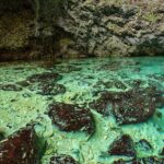 Private Tour Cayman Crystal Caves in Grand Cayman Island - The Itinerary: A Deep Dive into the Day