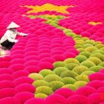 Private Tour Discover Incense Village, Hoa Lu & Tam Cocs Beauty - The Practical Side: What to Expect