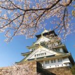 Private Tour: Discover the Best of Osaka with a Local Guide - Why Transportation Matters