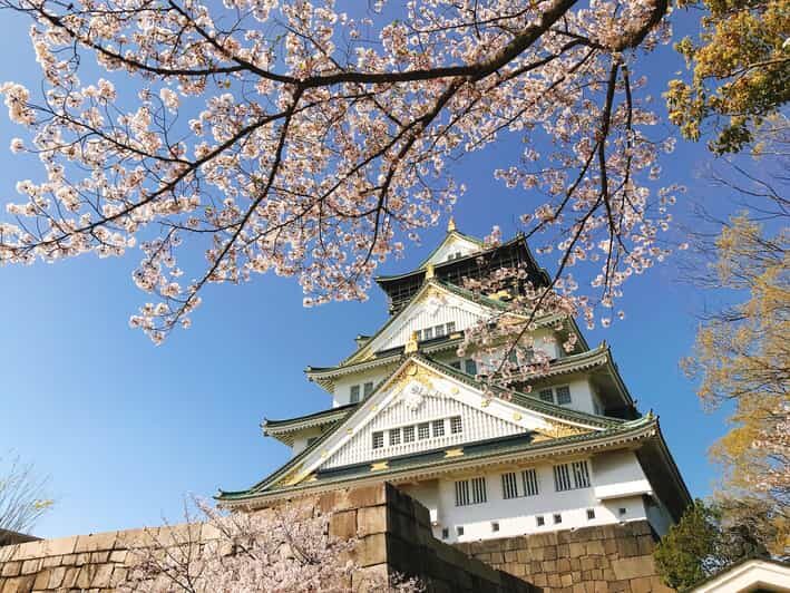 Private Tour: Discover the Best of Osaka with a Local Guide - Why Transportation Matters