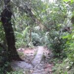 Private Tour El Yunque Rainforest swimming waterfall - Who Is This Tour Best For?