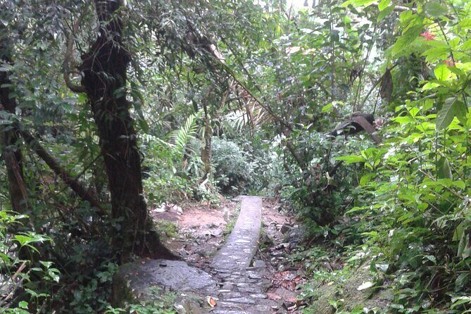 Private Tour El Yunque Rainforest swimming waterfall - Who Is This Tour Best For?