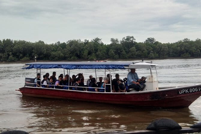 Private Tour Fireflies, Eagles and Monkey - Exploring the Kuala Selangor Wildlife Tour