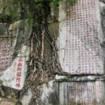 Private Tour from Guangzhou to Seven Star Crags (Qixingyan) - Transportation and Logistics