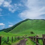 Private Tour From Nagoya: Akame 48 Falls & Soni Highlands Hike - Who Should Consider This Tour?