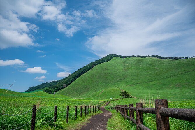 Private Tour From Nagoya: Akame 48 Falls & Soni Highlands Hike - Who Should Consider This Tour?