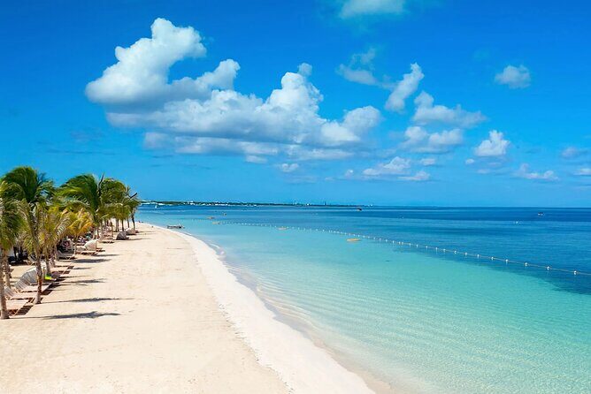 Private Tour From Ocho Rios To Negril 7 Mile Beach and Ricks Cafe - A Deep Dive into the Itinerary and What to Expect