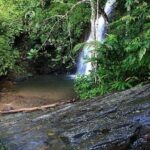 Private Tour: Full Day Langkawi Durian Perangin Waterfall Nature Tour Including ATV Adventure - Authentic Experiences and Insights from Reviews