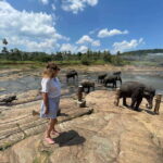 private tour guide in Sri lanka : 5 Days Tour Package - Practicalities, Transport, and Overall Value