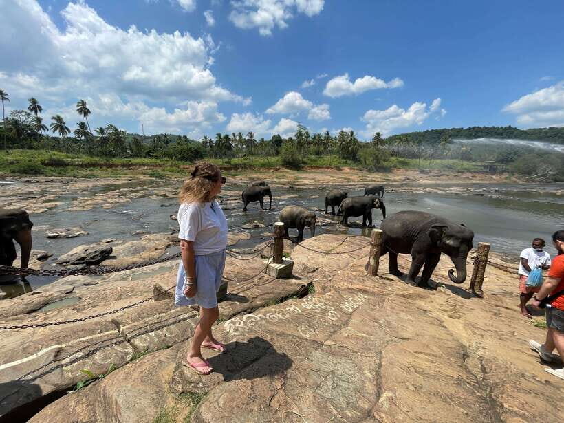 private tour guide in Sri lanka : 5 Days Tour Package - Practicalities, Transport, and Overall Value