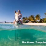 Private Tour Horseback Riding from Ocho Rios or Runaway Bay - The Sum Up