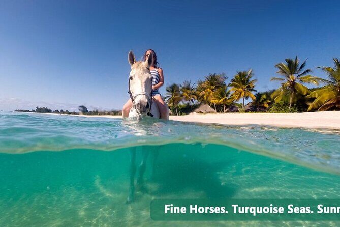 Private Tour Horseback Riding from Ocho Rios or Runaway Bay - The Sum Up
