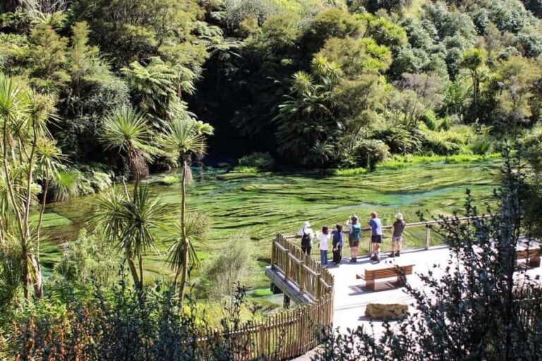 Private Tour: Hunua Falls, Blue Springs & Mclaren waterfall - The Scenic Countryside Drive and Additional Highlights