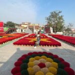 Private Tour in Quang Phu Cau to Tam Coc and Ninh Binh - Who Would Love This Tour?