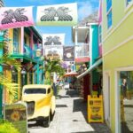 Private Tour in St. Maarten - The Practicalities: What You Need to Know