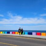 Private Tour in West Jeju Island with Transfer - What’s Included and What to Consider