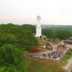 Private Tour Kuala Selangor Fireflies include Seafood Dinner *26* - An In-Depth Look at the Kuala Selangor Fireflies Tour