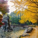 Private Tour Nami Island,Petite France,The Garden of Morning Calm - Detailed Breakdown of Each Stop