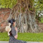 Private Tour of Ayutthaya World Heritage City with Lunch - What to Expect During the Day