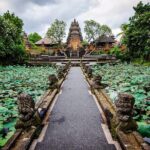 Private Tour of Balis Ubud: Culture, Nature & Heritage - The Logistics: Transport, Timing, and Flexibility