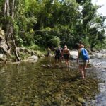 Private Tour of El Yunque Rainforest from San Juan - Transportation and Value