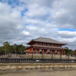Private tour of Nara with an English/Spanish-speaking Guide - Why Choose This Tour?