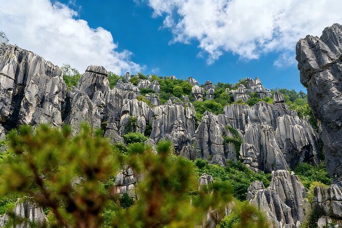 Private Tour of Stone Forest Geological Park in Kunming - The Value of the Experience