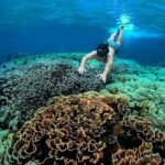 "Private Tour: Pink Beach Lombok Gili Islands & Sand Island" - What Makes This Tour Stand Out?