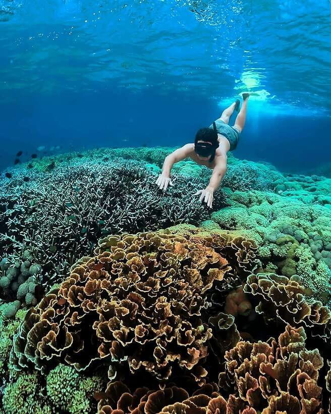 "Private Tour: Pink Beach Lombok Gili Islands & Sand Island" - What Makes This Tour Stand Out?