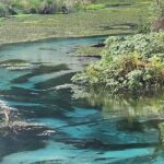 Private Tour Rotorua + Blue springs + WaiOtapu + Redwood forest - Detailed Breakdown of the Itinerary