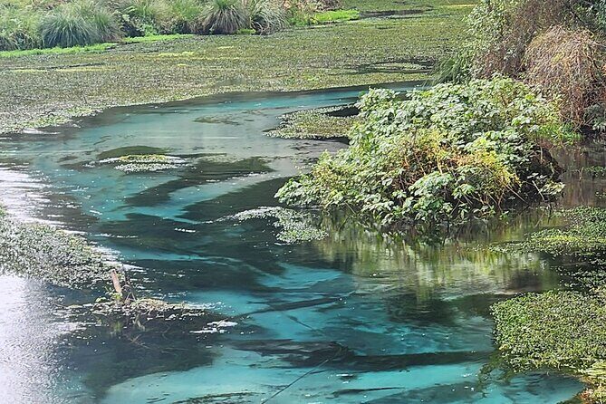 Private Tour Rotorua + Blue springs + WaiOtapu + Redwood forest - Detailed Breakdown of the Itinerary