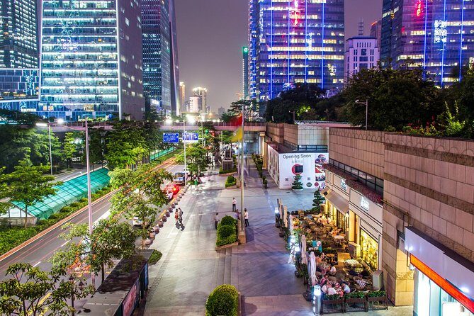 Private Tour: Shenzhen City Overview - The Practicalities: What to Expect