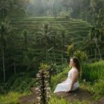 Private Tour : Tegalalang Rice Terrace, Temple And Waterfall - Practical Details and Tips