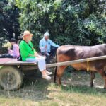 Private Tour to an Indian Village & Cooking Class - Itinerary and Key Activities