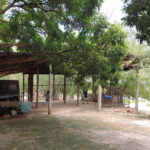 Private Tour to Anlong Veng (Khmer Rouge Stronghold) - Who Should Consider This Tour?